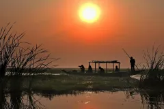 Mangalajodi-wetland