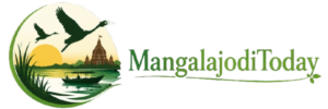 cropped logo.png